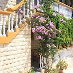 Apartament 8174a